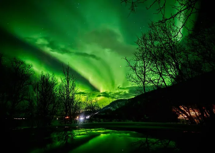 Aurora Haven - With Jacuzzi Feriehus Tromsø